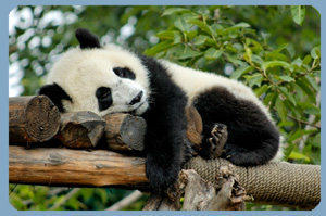 Insomnia sleeping problems